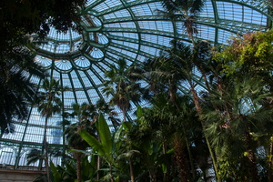 royalgreenhouses